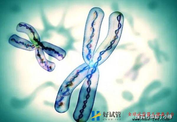 遗传病能做试管婴儿吗(图1) 遗传病能做试管婴儿吗(图1)