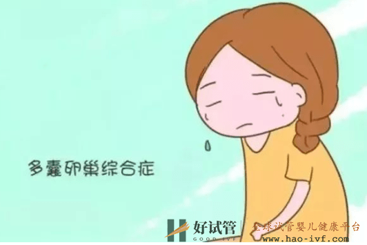 多囊卵巢综合症能自愈?可以控制,做试管成功率高吗(图1) 多囊卵巢综合症能自愈?可以控制,做试管成功率高吗(图1)