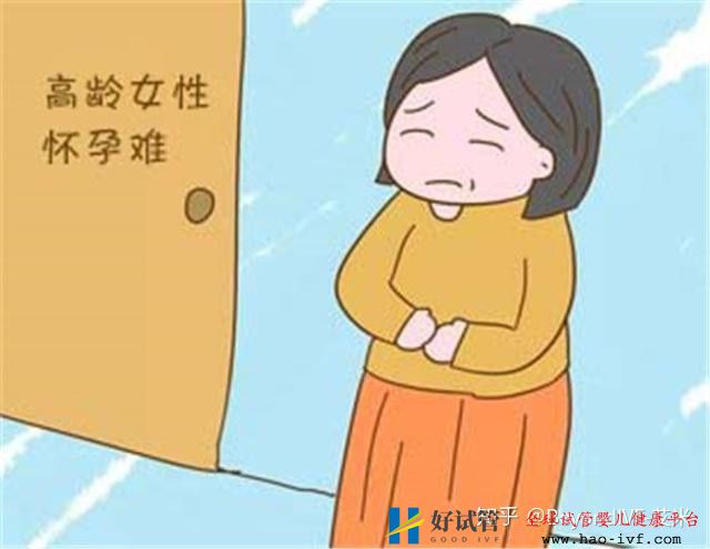 30岁和40岁之间做试管婴儿区别是什么(图1) 30岁和40岁之间做试管婴儿区别是什么(图1)