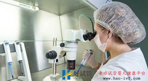 试管婴儿费用可以报销吗(图2) 试管婴儿费用可以报销吗(图2)