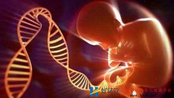 生育报销大改革!试管婴儿、冻卵能报医保吗?(图1) 生育报销大改革!试管婴儿、冻卵能报医保吗?(图1)