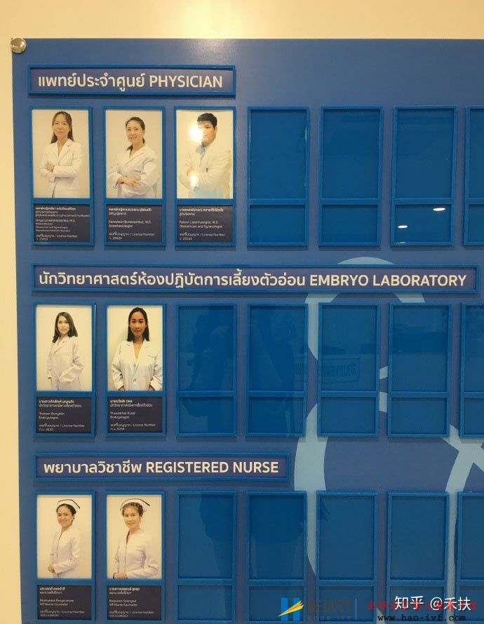 我的试管经历29岁卵巢早衰的逆袭之路(图1) 我的试管经历29岁卵巢早衰的逆袭之路(图1)