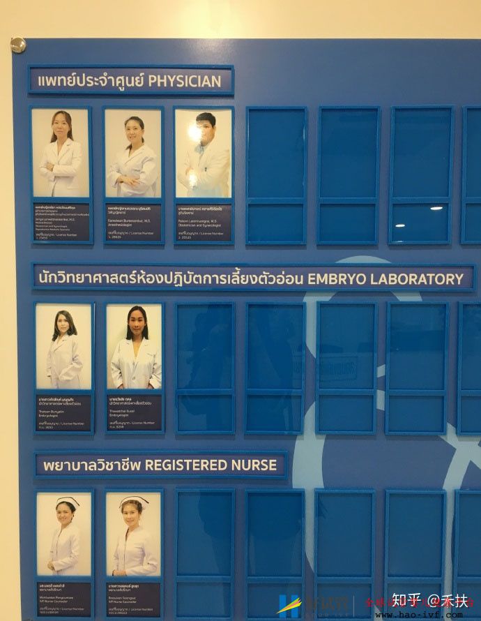 我的试管经历29岁卵巢早衰的逆袭之路(图2) 我的试管经历29岁卵巢早衰的逆袭之路(图2)