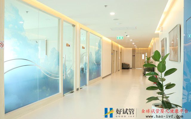 32岁做试管婴儿的成功率多少看我的试管经历就知道...(图1) 32岁做试管婴儿的成功率多少看我的试管经历就知道...(图1)