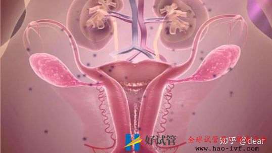 心里有数.45岁做试管一次成功率是多少(图1) 心里有数.45岁做试管一次成功率是多少(图1)