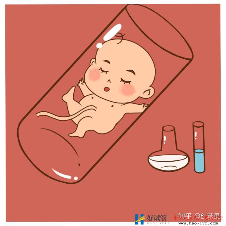三代试管婴儿一次成功,33岁终于有了自己的孩子!—...(图3) 三代试管婴儿一次成功,33岁终于有了自己的孩子!—...(图3)