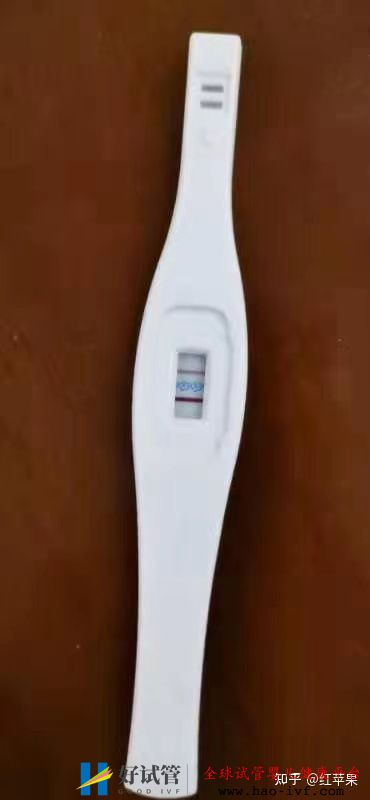 三代试管婴儿一次成功,33岁终于有了自己的孩子!—...(图13) 三代试管婴儿一次成功,33岁终于有了自己的孩子!—...(图13)