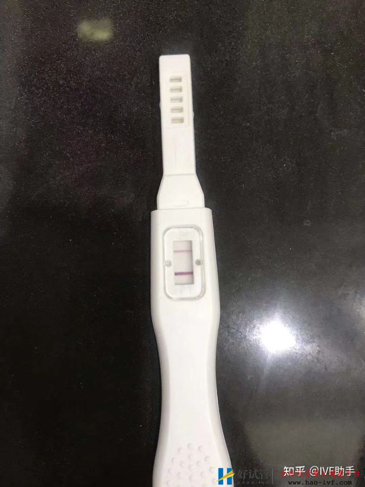 我的试管经历,一次就成功了(后附个人试管经验总结)(图2) 我的试管经历,一次就成功了(后附个人试管经验总结)(图2)