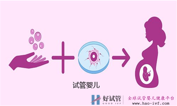 试管婴儿的成功率会受到哪些因素的影响呢(图1) 试管婴儿的成功率会受到哪些因素的影响呢(图1)