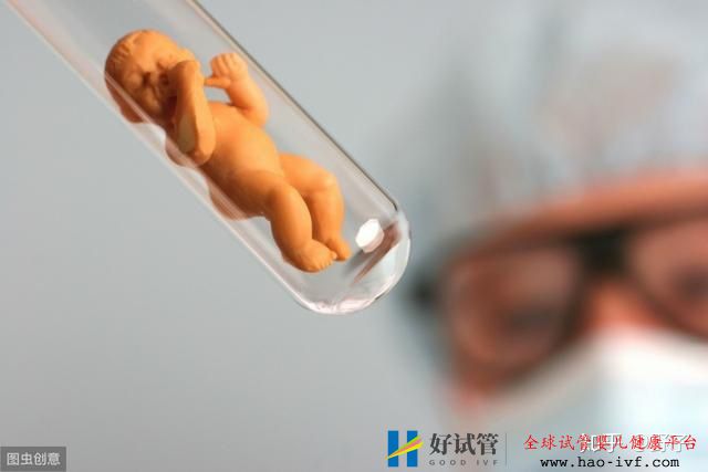 40岁再做试管婴儿,成功生子的几率大概有多少(图4) 40岁再做试管婴儿,成功生子的几率大概有多少(图4)