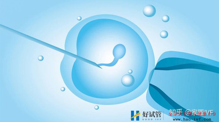 女性46岁做试管婴儿成功的把握有多少(图1) 女性46岁做试管婴儿成功的把握有多少(图1)