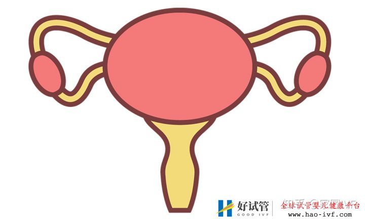 女性46岁做试管婴儿成功的把握有多少(图3) 女性46岁做试管婴儿成功的把握有多少(图3)