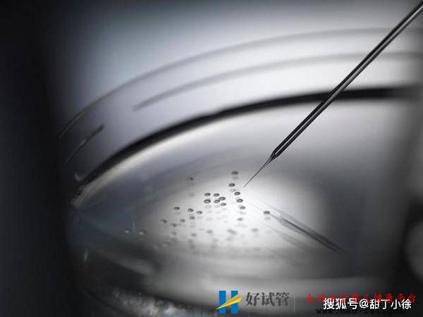 直观分析试管婴儿成功率高吗(图1) 直观分析试管婴儿成功率高吗(图1)