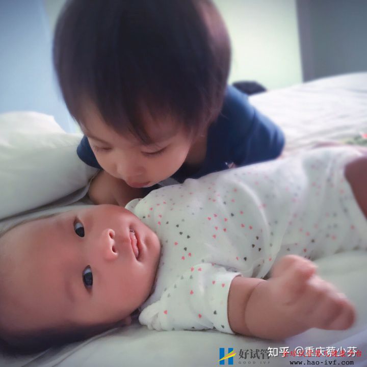 两年抱俩,46岁新手妈妈的试管婴儿全攻略(图1) 两年抱俩,46岁新手妈妈的试管婴儿全攻略(图1)