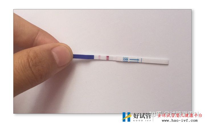 试管婴儿费用大约多少2021年——3.国内一二代试管婴...(图19) 试管婴儿费用大约多少2021年——3.国内一二代试管婴...(图19)