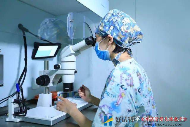 第三代试管婴儿的认知误区(图1) 第三代试管婴儿的认知误区(图1)