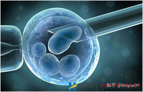 详解第一代、第二代、第三代试管婴儿以及适应症,...(图5) 详解第一代、第二代、第三代试管婴儿以及适应症,...(图5)