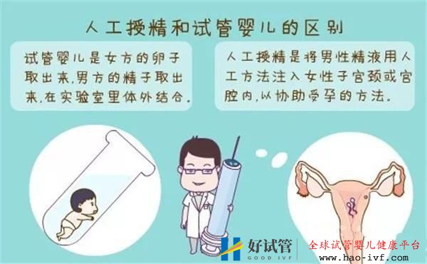 试管婴儿和人工授精有什么区别哪一个成功率更高(图1) 试管婴儿和人工授精有什么区别哪一个成功率更高(图1)