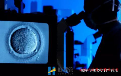 2021做试管婴儿要多少费用,最新价格表(图3) 2021做试管婴儿要多少费用,最新价格表(图3)