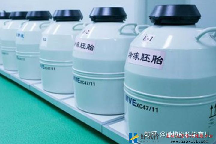 2021做试管婴儿要多少费用,最新价格表(图8) 2021做试管婴儿要多少费用,最新价格表(图8)