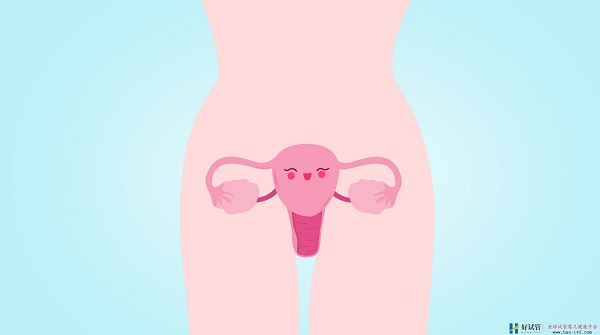 得了多囊卵巢综合征,还能做试管婴儿吗?(图2) 得了多囊卵巢综合征,还能做试管婴儿吗?(图2)