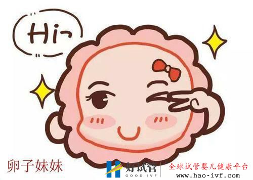 做试管婴儿要取多少卵子?(图2) 做试管婴儿要取多少卵子?(图2)