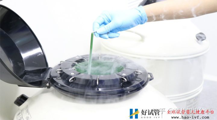 试管生一对龙凤宝宝大概要多少钱(图1) 试管生一对龙凤宝宝大概要多少钱(图1)