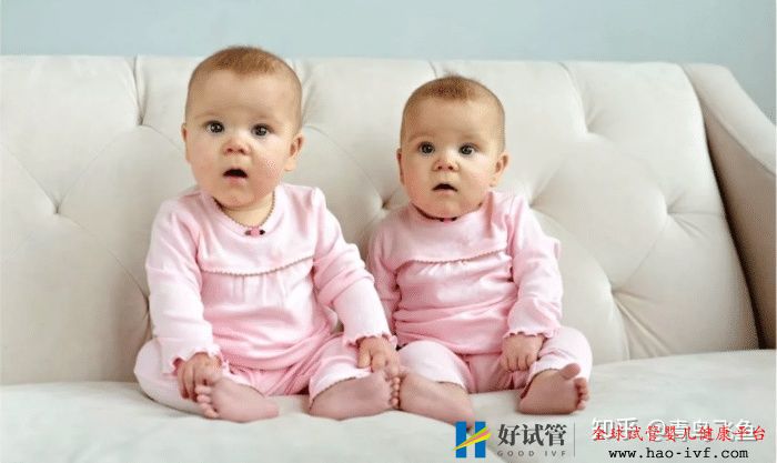 试管婴儿龙凤胎费用(图1) 试管婴儿龙凤胎费用(图1)