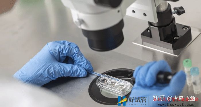 试管婴儿龙凤胎费用(图3) 试管婴儿龙凤胎费用(图3)