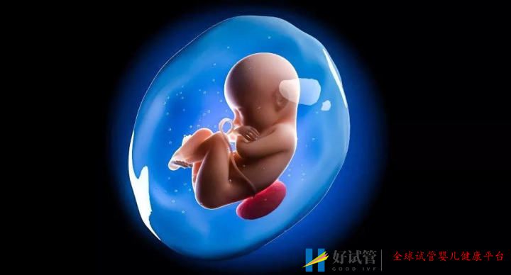 试管婴儿成功率竟然不是100%,谁偷走了我的成功率(图5) 试管婴儿成功率竟然不是100%,谁偷走了我的成功率(图5)