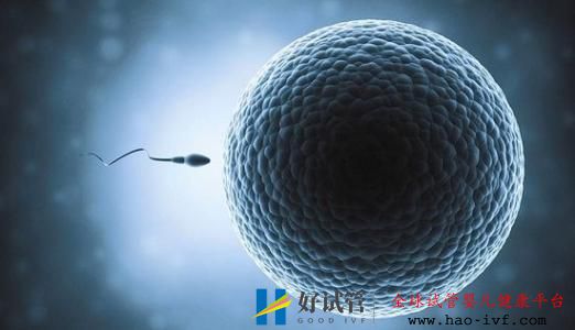 人工授精成功率(图3) 人工授精成功率(图3)