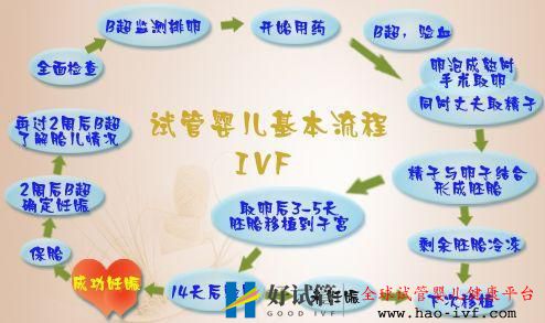 人工授精成功率(图9) 人工授精成功率(图9)