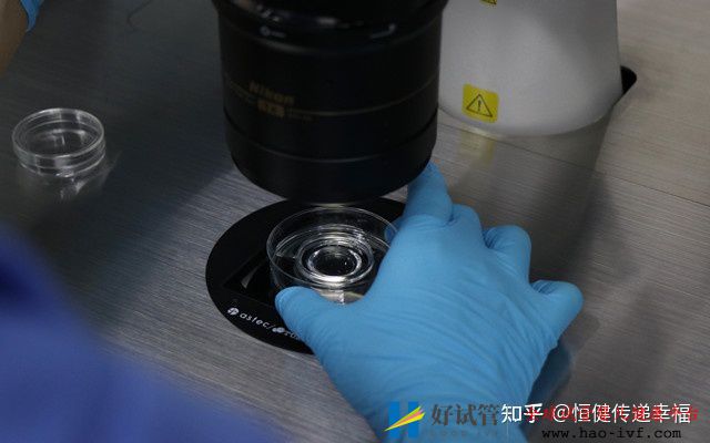 三代试管费用大全(图2) 三代试管费用大全(图2)