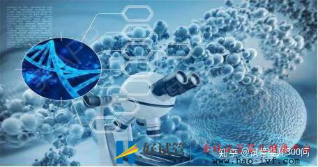 卵巢早衰的我终于试管成功怀孕了!!!!(图6) 卵巢早衰的我终于试管成功怀孕了!!!!(图6)