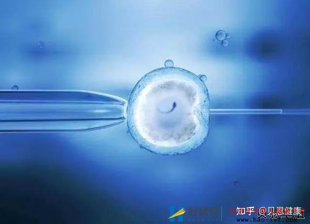 男性弱精症做试管婴儿成功率高吗答案是因人而异(图2) 男性弱精症做试管婴儿成功率高吗答案是因人而异(图2)