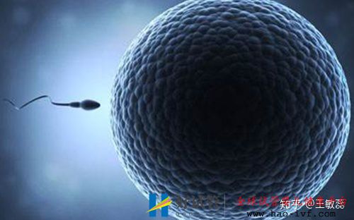 男性少精弱精是先治疗还是直接做试管婴儿做试管成...(图3) 男性少精弱精是先治疗还是直接做试管婴儿做试管成...(图3)