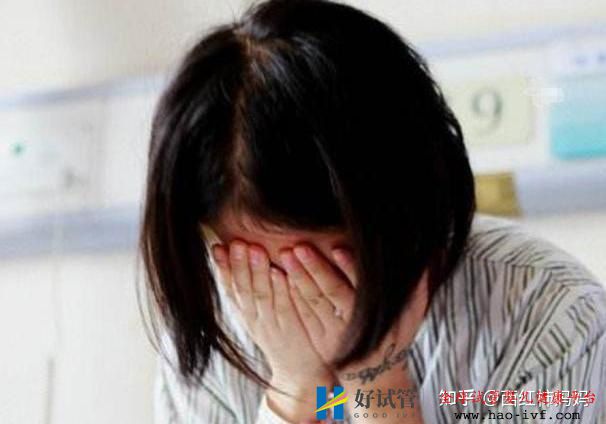 为何许多过来人不建议女性做“试管婴儿”背后真...(图11) 为何许多过来人不建议女性做“试管婴儿”背后真...(图11)