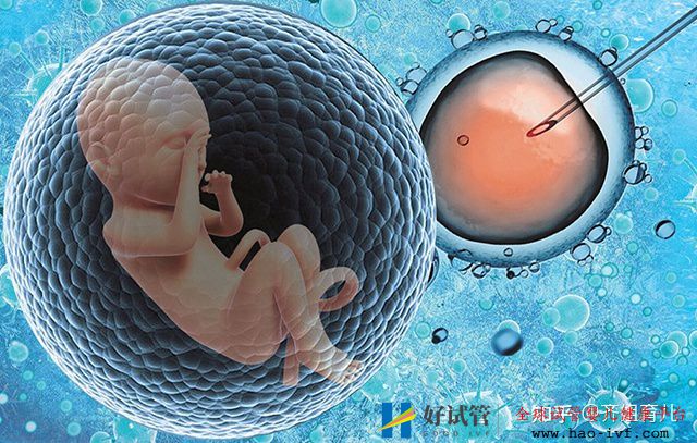 6年试管经历告诫女性别轻易做试管婴儿,三个代价...(图1) 6年试管经历告诫女性别轻易做试管婴儿,三个代价...(图1)