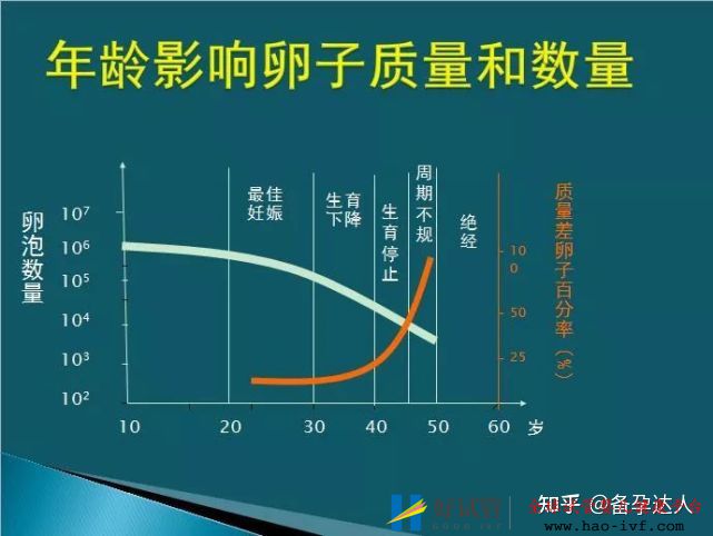 做试管最容易一次成功的四类人(图2) 做试管最容易一次成功的四类人(图2)