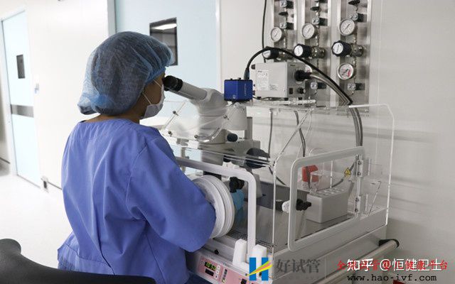 第三代试管婴儿做双胞胎需要多少钱(图3) 第三代试管婴儿做双胞胎需要多少钱(图3)