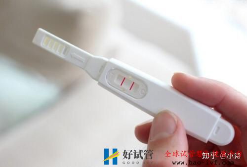 做试管移植后多久能测出怀孕(图3) 做试管移植后多久能测出怀孕(图3)