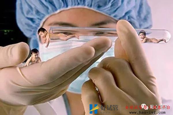 试管婴儿过程是怎样的?有最详细的试管解说步骤!(图2) 试管婴儿过程是怎样的?有最详细的试管解说步骤!(图2)