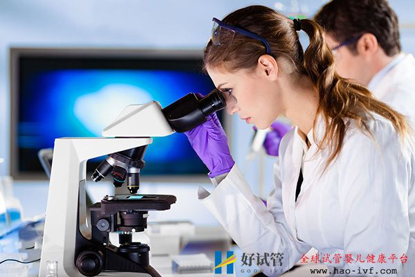 试管婴儿助孕步骤详细说明(图2) 试管婴儿助孕步骤详细说明(图2)