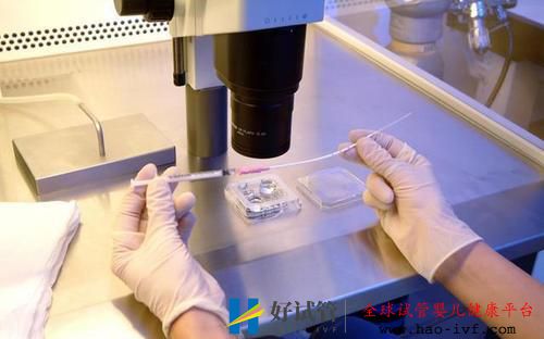 做试管婴儿复杂吗?过程是怎样的?(图2) 做试管婴儿复杂吗?过程是怎样的?(图2)