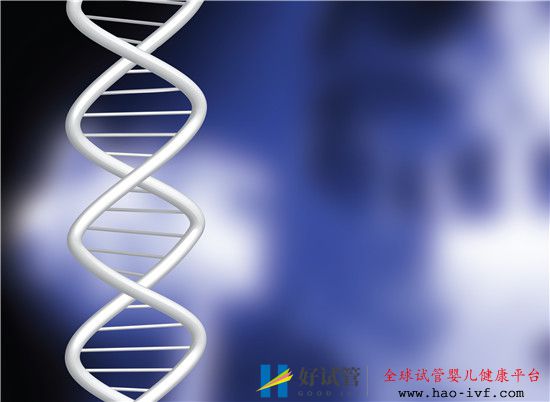 不孕不育做试管婴儿的条件和过程(图2) 不孕不育做试管婴儿的条件和过程(图2)