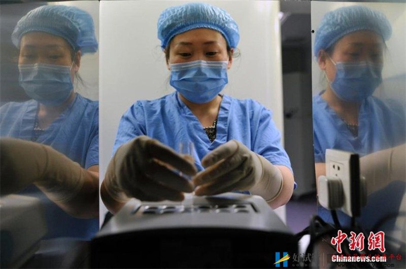 揭秘“试管婴儿”全过程放入液氮中冷冻(图)(图2) 揭秘“试管婴儿”全过程放入液氮中冷冻(图)(图2)