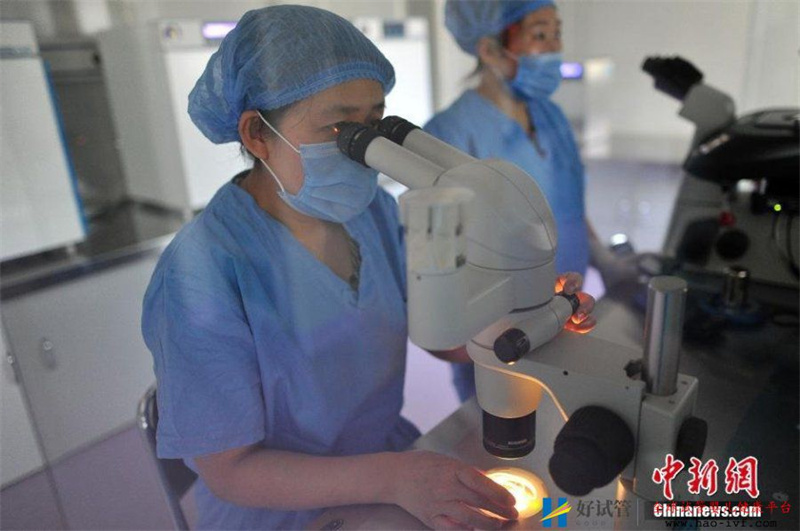 揭秘“试管婴儿”全过程放入液氮中冷冻(图)(图3) 揭秘“试管婴儿”全过程放入液氮中冷冻(图)(图3)