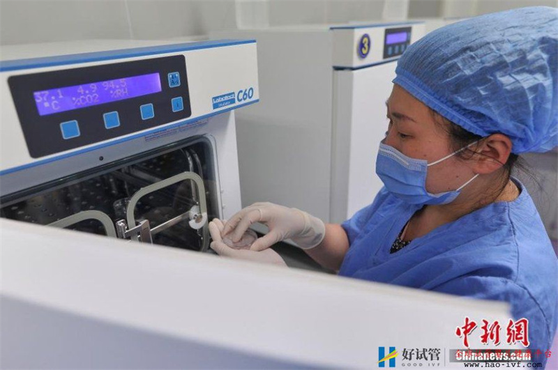 揭秘“试管婴儿”全过程放入液氮中冷冻(图)(图4) 揭秘“试管婴儿”全过程放入液氮中冷冻(图)(图4)