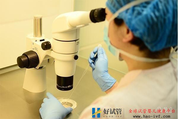海外试管婴儿取卵流程及注意事项(图1) 海外试管婴儿取卵流程及注意事项(图1)