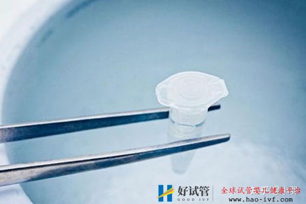 一文带你了解试管婴儿整个流程个各个环节时间节点的...(图5) 一文带你了解试管婴儿整个流程个各个环节时间节点的...(图5)